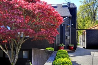 A house built around an existing maple tree