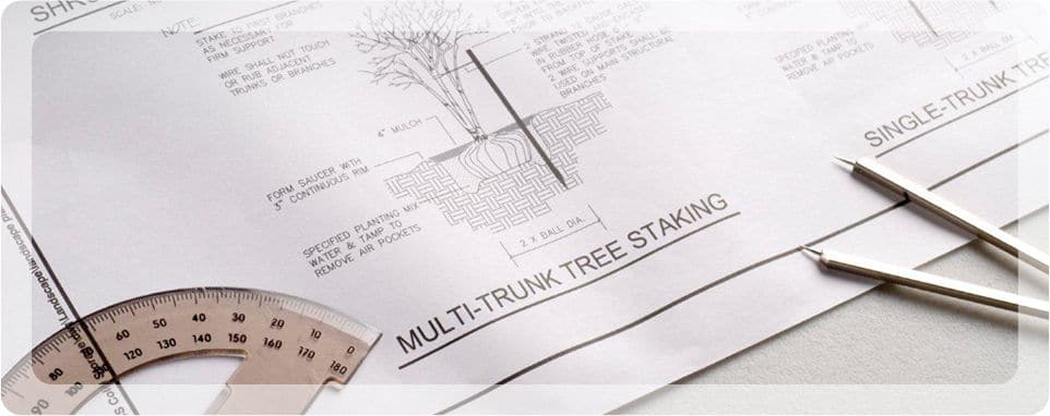 An example tree report by Treescience, Consulting Arborists.