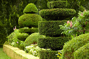 shutterstock_107614673