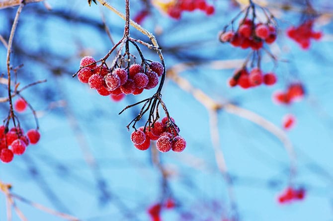 shutterstock_80267560