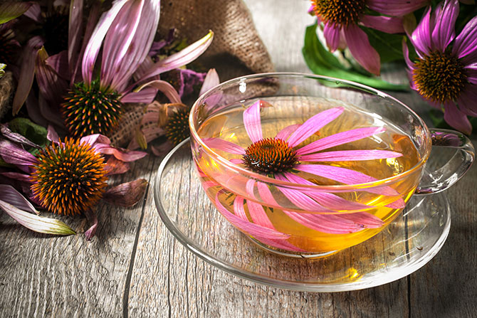 shutterstock_217144540