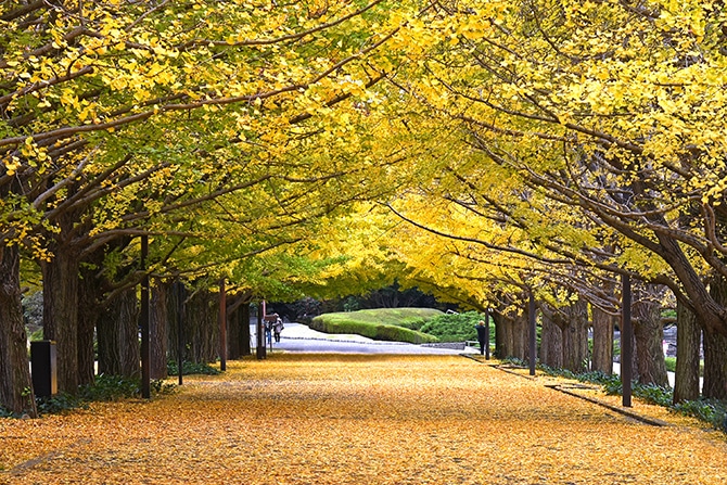 shutterstock_353738921