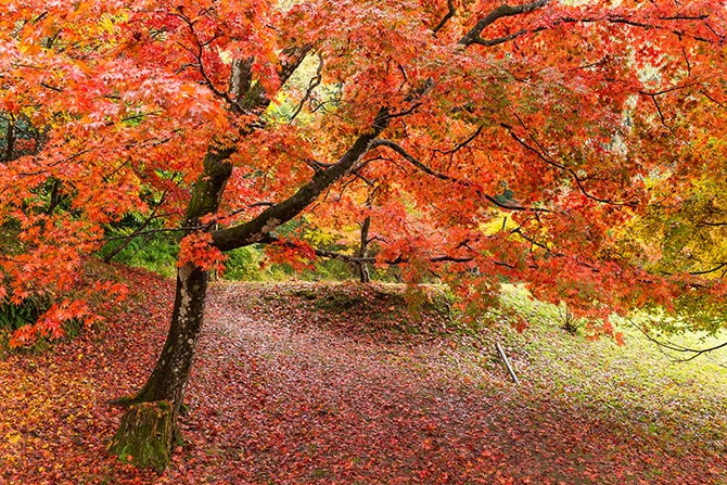 shutterstock_570696151