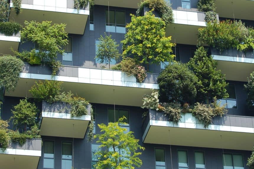 Trees and bushes growing in a vertical garden on the side of a building
