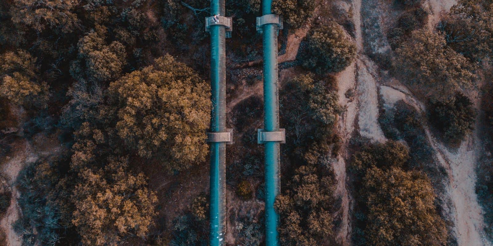 Water pipes running through trees